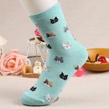 Autumn Cat Socks for Women